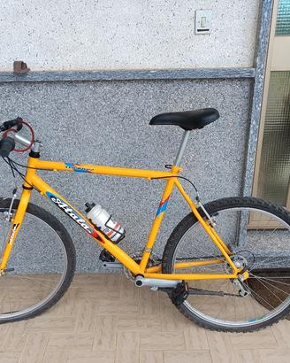 bicicletta 