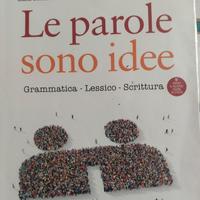Le parole sono idee