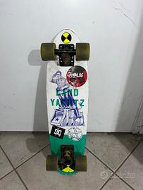 Skate board