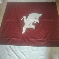 Bandiera "Torino Calcio"