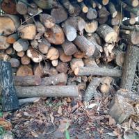 legna leccio asciutta e stagionata 12 mesi