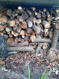 legna leccio asciutta e stagionata 12 mesi