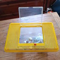 Terrario in plastica