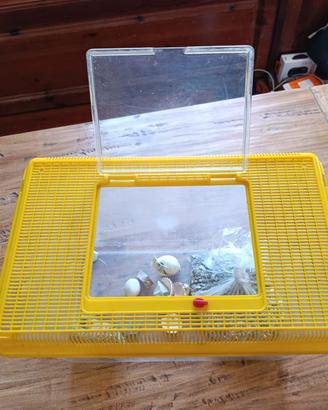 Terrario in plastica