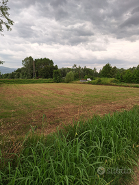 Campo agricolo Paganico Lucca