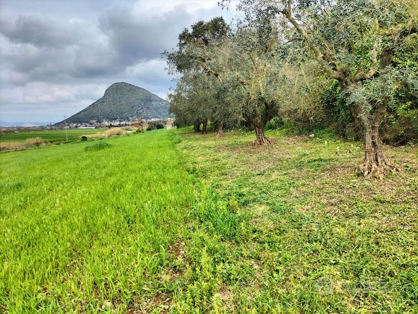 Terreno agricolo con piccolo rudere(come da foto) - Vista 4