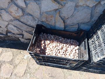 pietre per giardino e piante