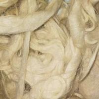 4 chili scarsi di lana per cuscini e materassi