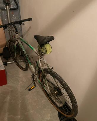 Bicicletta rampichino uomo