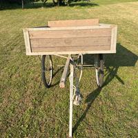 Carrettino per lavori da guardino