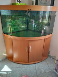 Acquario Juwel