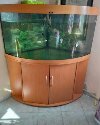 Acquario Juwel