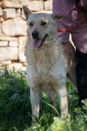 Uno sguardo d'amore : RICKY