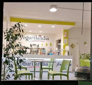Yogurteria avviatissima