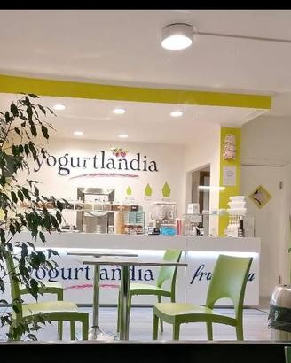 Yogurteria avviatissima