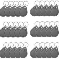 30 Tag RFID Honmidatek per Videocitofono KW02 / KW