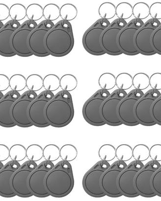 30 Tag RFID Honmidatek per Videocitofono KW02 / KW