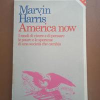 America now, I modi di vivere e di pensare le paur