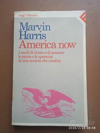 America now, I modi di vivere e di pensare le paur