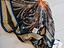 Immagine 6