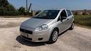 fiat-punto-neopatentati