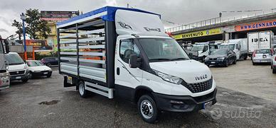 IVECO DAILY 35C14 CENTINATO MT4.47 EURO6D