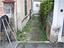 Immagine 14