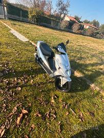 Malaguti phantom f12