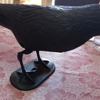 nuovissimi 5 corvi in plastica neri. Bari