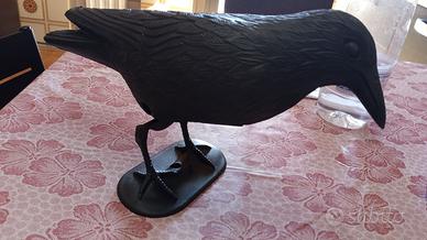 nuovissimi 5 corvi in plastica neri. Bari