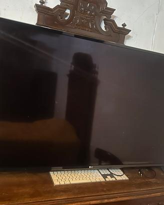 Tv LG 55 pollici non funzionate