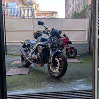 Triumph Speed triple t509