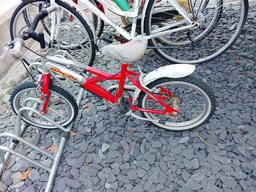 Bici bambino raggio  16