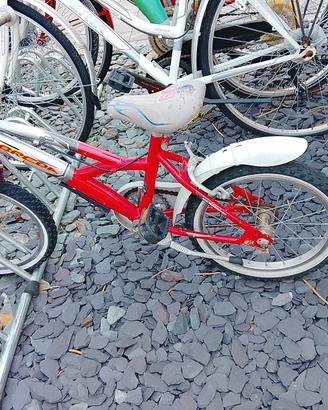 Bici bambino raggio  16