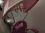 Immagine 6