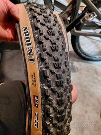 maxxis ardent 29x2.4 