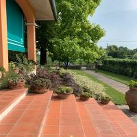 Cavino casa singola con 1000 mq di giardino