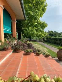 Cavino casa singola con 1000 mq di giardino