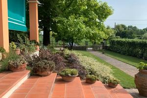 Cavino casa singola con 1000 mq di giardino