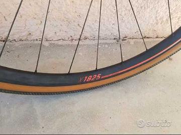 ruote DT swiss complete