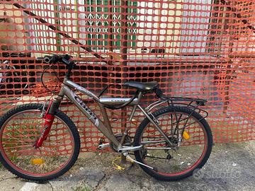 Bicicletta MTB