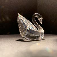 Swarovski cigno collezione