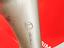 Immagine 17