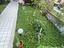 Immagine 18