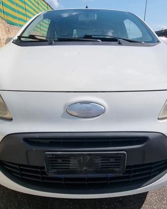 Ricambi Ford Ka 2010 1.3 TDCI 169A1000