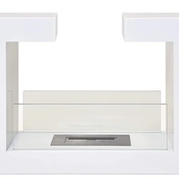 Caminetto a bioetanolo design in acciaio con vetro