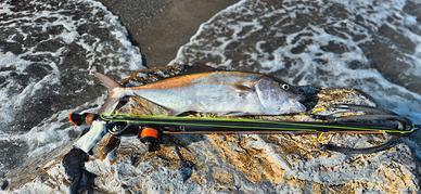 ARBALETE CARBON C4 GLADIUS 85