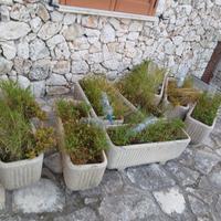 Vasi in cemento da giardino