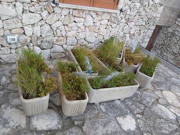 Vasi in cemento da giardino