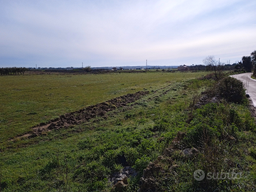 Terreno agricolo di 10060mq ( 1ettaro e 60m)